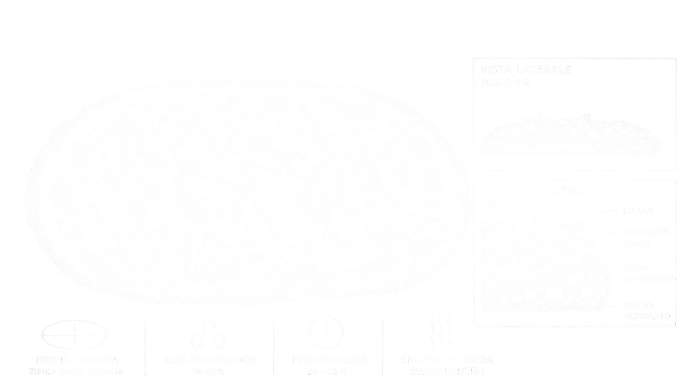 Infografía técnica de Pinsa Romana copia 2 grafico de pinsa romana